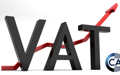 Navigating VAT Returns: Tips and Best Practices for Individuals and Enterprises